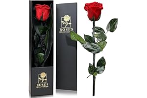 QHHENTOO Infinity Rose in Geschenkbox, Ewige Rose mit Stiel Geschenke für Frauen Echte Rosen Eine Konservierte Blume für Mama Damen Freundin zum Geburtstag Valentinstag Weihnachten Muttertag - Rot