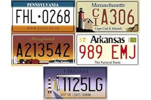 OPO 10 - Set of 5 USA car registration plates in metal - replicas of real American plates (v5)