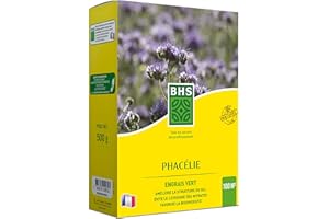 BHS PHA500 | 500g | 100 m² | Phacelie | Croissance Très Rapide | Limite l’Apparition des Mauvaises Herbes | Résistance à la Sécheresse