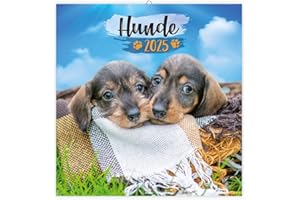 Trötsch Broschürenkalender Hunde 2025: Wandplaner