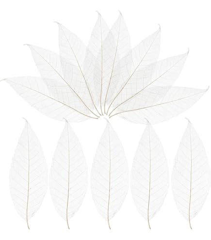 HAOBIN Lot De 50 Feuilles Squelettiques Naturelles Séchées Pour Le Bricolage, Le Scrapbooking, Les Loisirs Créatifs, La Fabrication De Cartes (dégradé Bleu) A203DH0576