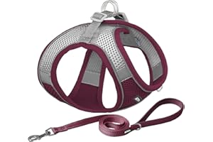 AIITLE No Pull Dog Harness, Step in Adjustable Dog Harness with Padded Vest, Dog Lead with Soft Padded Handle, Easy to Put on for Small and Medium Dogs, Burgundy, S