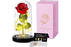 TWBEST Die Schöne und Das Biest ,Ewige Rose im Glas mit LED-Licht,Immerwährende Echte Rosen, 1 Valentinstagskarte,Personalisierte Geschenke für Frauen,Valentinstag,Muttertag,Hochzeit