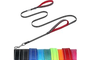 VIVAGLORY Guinzaglio per Cani con Maniglia di Controllo, Doppia Impugnatura Morbida Imbottita, Forte Riflettente & Gancio in Metallo, Nero