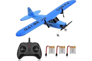 Makerfire RC Airplane FX-803 RTF RC Plane 2.4GHz 2CH Built-in 6-Axis Gyro EPP Remote Control Airplane Glider Easy to Fly for Beginner Adults Kids (Blue)