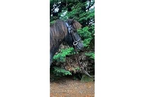 ABERWIEL SADDLERY Very Pretty Pony & Small Pony Dainty Flash Bridle with Soft Rubber Reins Black / Small Pony