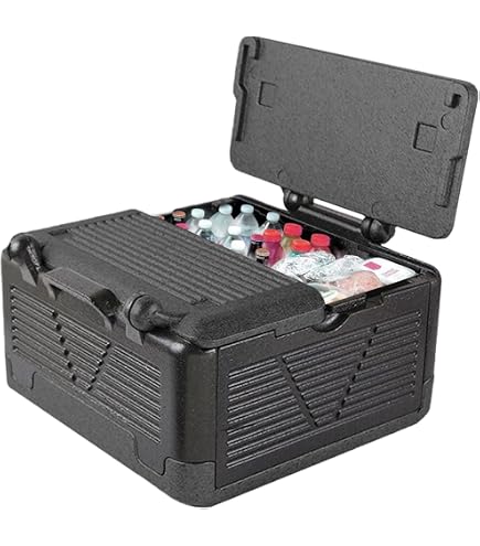 Thermo Future Box GN 1/1 - Glacière Isotherme 46L Premium - Boîte De Transport Pro 60x40cm