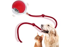 SGQTZDZQ Smart Automatic Rolling Pet Ball, Interactive Cat Toys with LED Flash Light, Rechargeable Irregular Moving Kitten Toys for Indoor Cats Dogs, Stimulate Hunting Instincts (red)