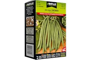 SEMILLAS BATLLE Semences Battle Graines de haricots 100g, vert