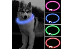 CCWW LED Leuchthalsband für Hunde und Katzen, USB Aufladbar, Längenverstellbar, DREI Beleuchtungsmodi, Nylon, Blau, Alle Rassengrößen, Hund, Katze