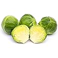 AllThatGrows Brussels Sprouts Seeds, Non-Hybrid, Open Pollinated Non-GMO - 300 Seeds