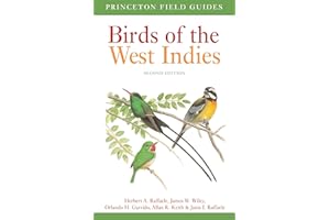 Birds of the West Indies Second Edition: 125