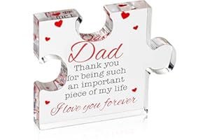 KUGGTY Cool Dad Presents from Daughter,Son, Engraved Acrylic Block Puzzle Birthday Gifts for Dad 10 x 10cm,Heartwarming Dad Birthday Gift, Ideas Paperweights
