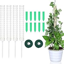 Luckaide Lot De 20 Supports Pour Plantes - Réutilisables - Pour