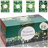 Bio Kräuter Anzuchtset – 4 Küchen Kräuter für dein eigenes Indoor oder Garten Kräuter Beet Projekt | mit extra vielen Kräuter