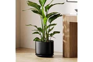 LE TAUCI Pots de Plantes en Céramique, 30 cm Jardinières avec Trou de Drainage et Soucoupe, Pot de Fleurs d'Intérieur pour la Maison et Le Bureau, Noir