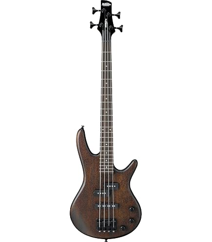 Ibanez GSR 205 Black - Basso elettrico a 5 corde : Amazon.it