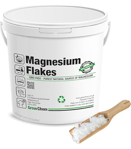 Magnesium Bath Flakes | Ancient Minerals