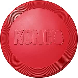 KONG Flyer Classic