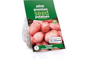 Jamieson Brothers 10 Tuber Desiree Seed Potatoes – JBA Maincrop Grow Your Own Spuds – for Chips, Mashing & Boiling – Scottish-Grown & Ready to Plant at Home in Pots, Gardens & Allotments