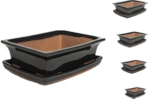 ‎INTER FLOWERS GMBH Keramik Bonsai Topf in verschiedenen Größen - Schwarz - Hochwertiger Blumentopf mit Untersetzer Schale Banzai Bonsai Bonsai Indoor/Outdoor 19 x 15 x 6 cm