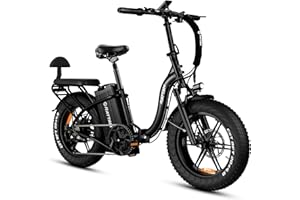 Rattan LM/LF Ultra Bicicletta Elettrica Pieghevole per Adulti, Batteria Rimovibile 48V 40,5Ah, Autonomia 195km, freno idraulico, pneumatico fat da 20" × 4.0, 2 Posti