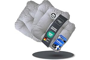 LILENO HOME Set di 4 cuscini per sedia da giardino, cucina o sala da pranzo (38 x 38 x 8 cm), comodi e resistenti ai raggi UV, per interni Cuscino per sedia da esterni.