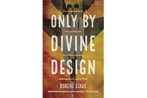 Only By Divine Design: Two downed planes, two parachutes, one school shooting, and a mustard seed of faith