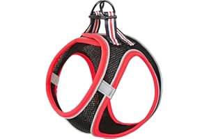 HEELE Harnais pour Chiens Harnais Rembourré en Mesh Doux pour Chiots Veste Respirant Réglable Réfléchissant Intérieur pour Marcher Courir Formation, Noir-Rouge, XS