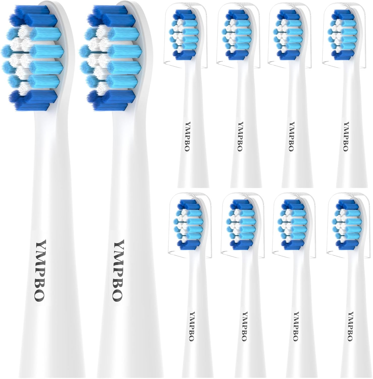 Vue 12