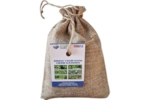 Amazing Health Grow Your Own Kit Herbs - Basil, Chives, Peppermint, Sage, Lemon Balm and Thyme for Home Gardening