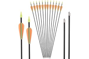 NIKA ARCHERY Lot de 12 flèches de tir à l'arc en fibre de verre 31"