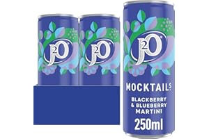 J2O Mocktail Blackberry and Blueberry Martini, 250ml Can (Pack of 12)
