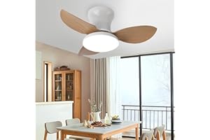 EKDADL 65CM Silenzioso Ventilatore da Soffitto con Luce e Telecomando 6 Velocità 0%-100% Dimmerabile 3 Pale Plafoniera Ventilatore da Soffitto