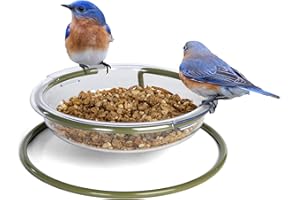 Jacobi Jayne® I Love Robins™ - Bandeja para comedero de pájaros para pájaros con Texto en inglés I Love Robins™, fácil de Limpiar, comedero para pájaros molidos, comederos para petirrojos para el