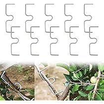 Divaricatori Rami 20 Pezzi - Per Alberi Da Frutto | Distanziatori Per Modellatura - Foto 13