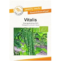 Domino Buschbohne BIO-Bohnensamen Von Bobby-Seeds – Portion Für Ca. 60 Pflanzen | Robust, Ertragreich, Zum Einfrieren Geeignet