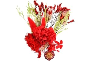DRWOSM Natürliche Getrocknete Blumen Getrocknete Blumen Deko Mini Trockenblumen Set Blumen Natürliche Gemischte Echt Eepresste Blumen Mehrfarbige Trocken Blume für DIY Kerzen Harz Schmuck (Rot)