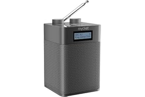 Mycket Dab/Dab+ Radio Numérique et FM, Radio Intégrée Alimentée par Batterie 2200 mAh, Portable & Rechargeable Dab Radios avec Disque Bluetooth/U, 80 Stations Préréglées, Prise Casque, Ecran LED