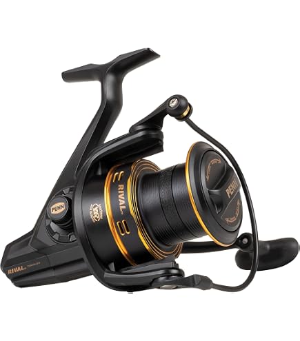 Okuma 8K - Surf Reel for Sea Fishing for Flatfish & Cod, Sea Reel for Surf  Fishing, Long Casting Reel, Stationary Reel : Amazon.de: Sports & Outdoors