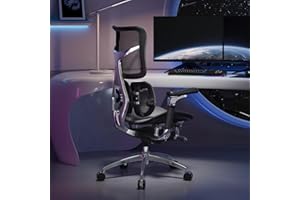SIHOO Doro S300 Sedia Ergonomica da Ufficio, Sedia per Computer, Sedia da Gioco con Supporto Lombare Dinamico Duale, Braccioli Coordinati 6D (Nero Velluto Rete)