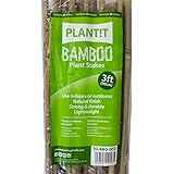 PLANT IT 10-480-055 3 ft Bamboo Stakes - Beige (Pack of 25)