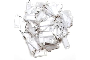 van den Heuvel Schlüsselanhänger transparent | 100 Schlüsselanhänger Rohlinge zur Beschriftung | Schlüsselschild mit Ring zum Beschriften und Auswechseln