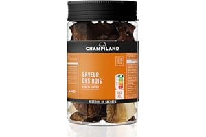CHAMPILAND - Mélange de Champignons Séchés Saveur des Bois - Cèpes, Luteus, Pleurotes, Trompettes - Triés à la Main dans le Sud-Ouest de la France - Saveur Exceptionnelle - Pot de 40 g