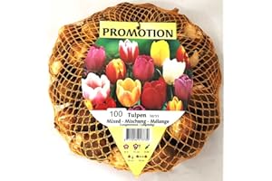 PERAGASHOP OFFERTA 75 TULIPANI MIX COLORI BULBI AUTUNNALI AIUOLE GIARDINO BULBS