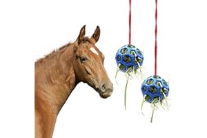 GEERDAN Lot de 2 Boules de Friandises pour Cheval, Jouet à Suspendre pour Cheval, Jouet D'alimentation pour Cheval, Pour Cheval Cheval, Chèvre et Moutons,Soulage le Stress,Repose,Pied D'écurie pour Cheval