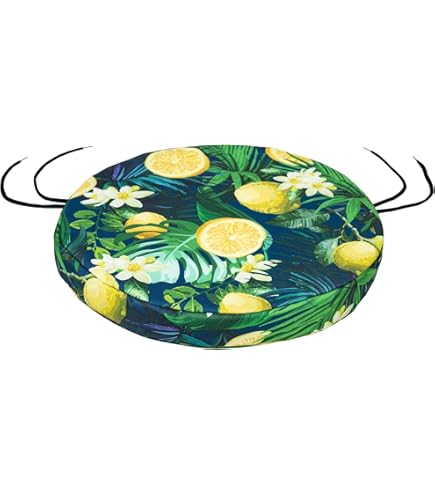 AOOPOO Set Of 2 Indoor Outdoor Luxury Beautiful Garden, Dining Chair Foam Cushions Seat Pad - Round - Chair Cushion,40x40cm (Color 12