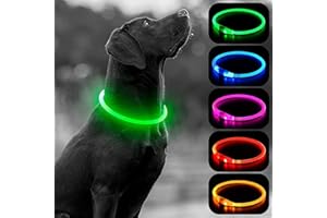 EVABRIS® Collar Luminoso Perro Recargable por USB, Resistente al Agua, Collar Perro Grande Pequeño y Mediano, 3 Modos de Luz, Tamaño Ajustable para Cada Mascota (Verde)