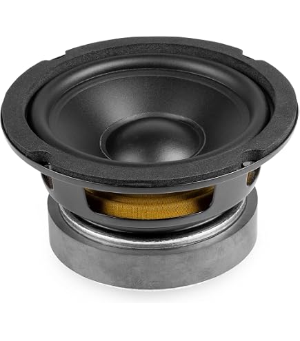 MONACOR CF0820BMB/8 PA bass-midrange speaker, 250 W, 8 O - cheap at LTT