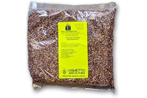 Agraria Ughetto Apicoltura Miscuglio Sovescio nematocide-biocide -BIOFUMIGAZIONE Naturale - Seme Certificato kg. 1 | Mellifere da Semina e sovescio